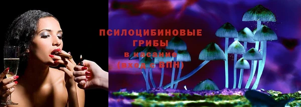 прущие грибы Беломорск