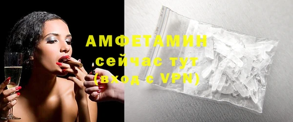 прущие грибы Беломорск