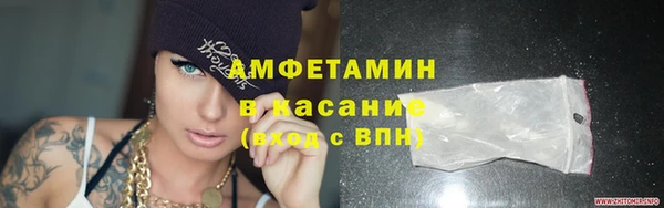прущие грибы Беломорск