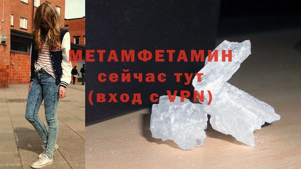 прущие грибы Беломорск