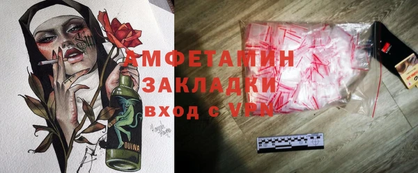 прущие грибы Беломорск