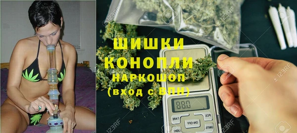 прущие грибы Беломорск